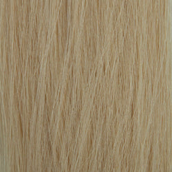 18" Tape Hair 60g (24pc)