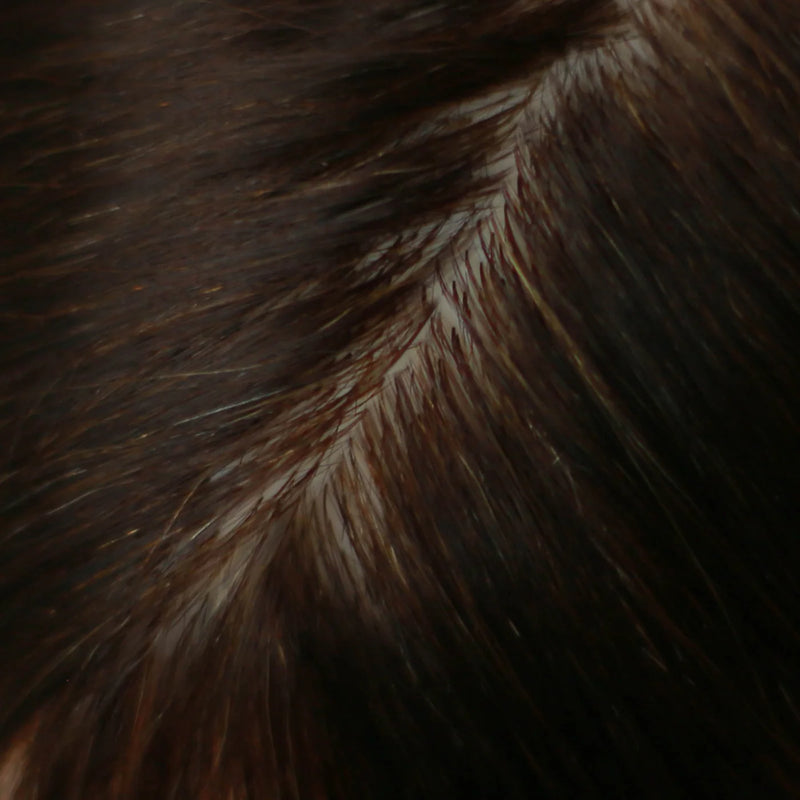 GL Training Head & Clamp